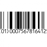 Global Trade Item Number (GTIN)